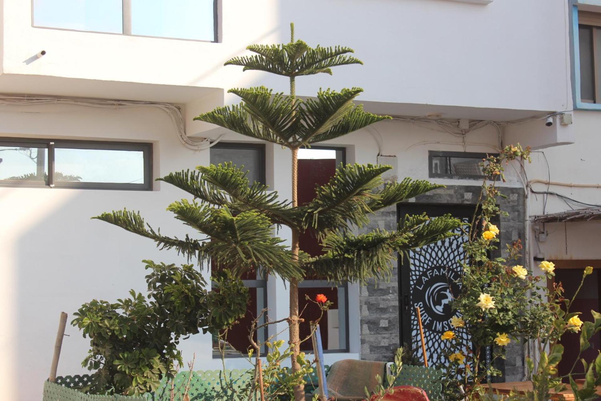 Lafamilia Surf Imsouane Hotel ภายนอก รูปภาพ